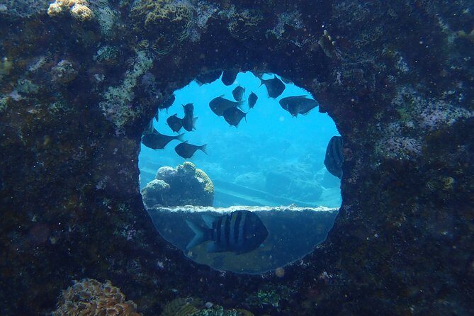 Discover Diving in Curacao - Discover Diving in Curacao: An Authentic Underwater Experience for Beginners