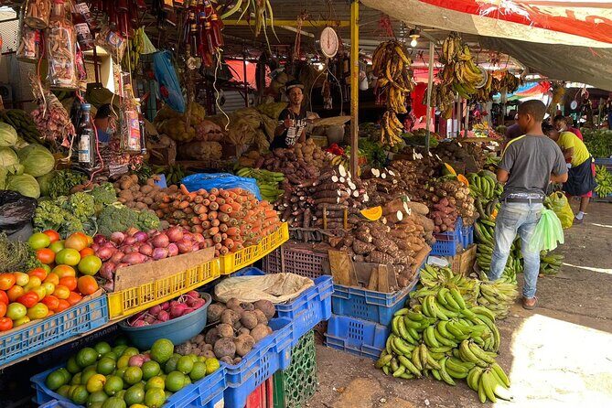 Discover Dominican life - Transportation, Group Size, and Timing