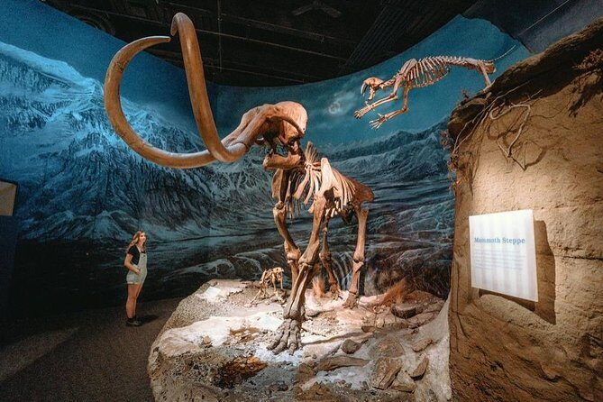 Discover Drumheller, Horseshoe Canyon, Royal Tyrrell Museum - Discover Drumheller, Horseshoe Canyon, Royal Tyrrell Museum — An Honest Review