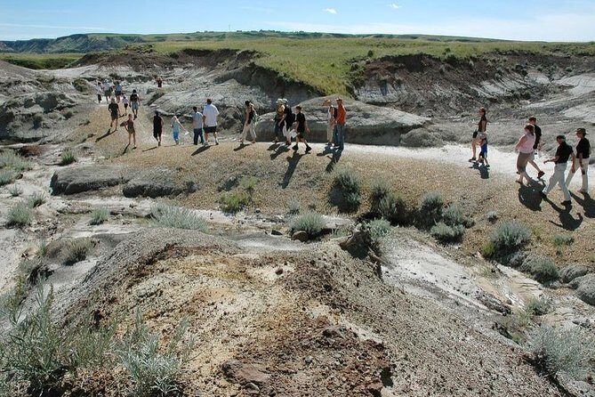 Discover Drumheller, Horseshoe Canyon, Royal Tyrrell Museum - What Past Travelers Say