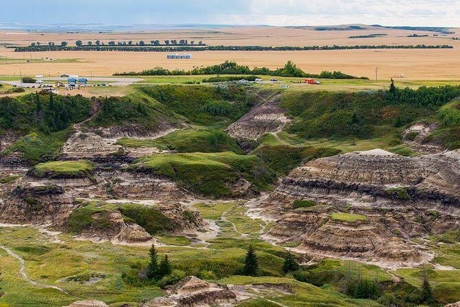 Discover Drumheller, Horseshoe Canyon, Royal Tyrrell Museum - Who Should Consider This Tour?