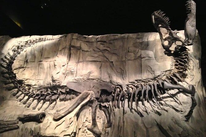 Discover Drumheller, Horseshoe Canyon, Royal Tyrrell Museum - The Sum Up