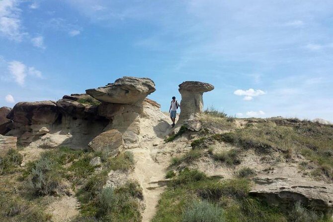 Discover Drumheller, Horseshoe Canyon, Royal Tyrrell Museum - FAQs