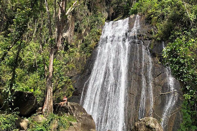 Discover El Yunque National Park: Half-Day Rainforest Tour - What You Can Expect from This Tour