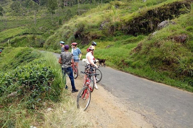 Discover Ella by Cycling - What You Can Expect During the Tour