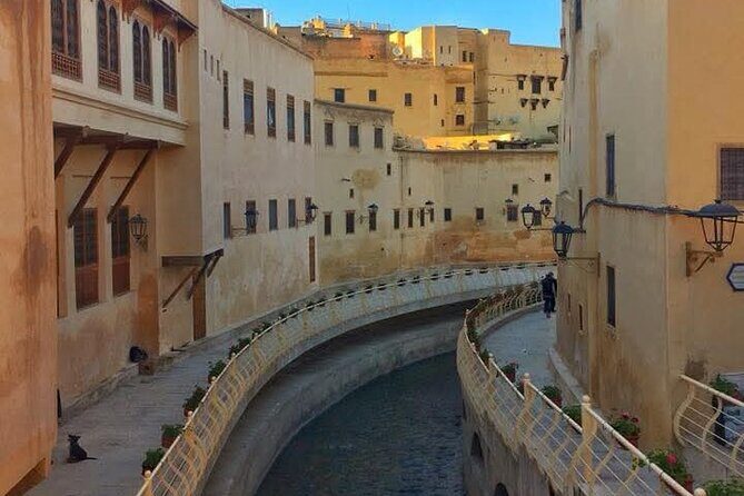 Discover Fes with the Best -Authentic Tours Unforgettable Stories - Who Will Enjoy This Tour?