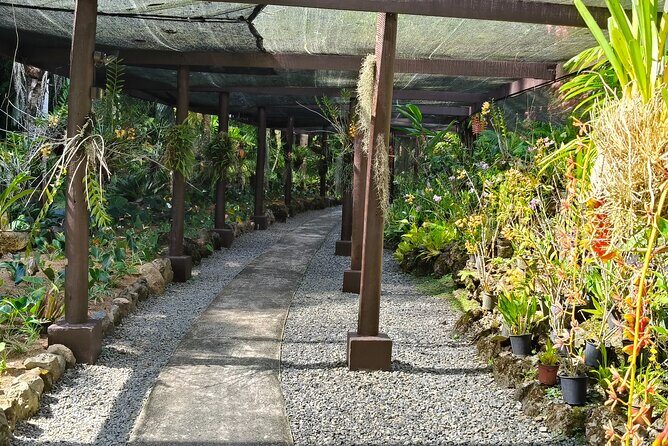 Discover Fiji's Key Attractions in Nadi for a Half-Day Visit - FAQ