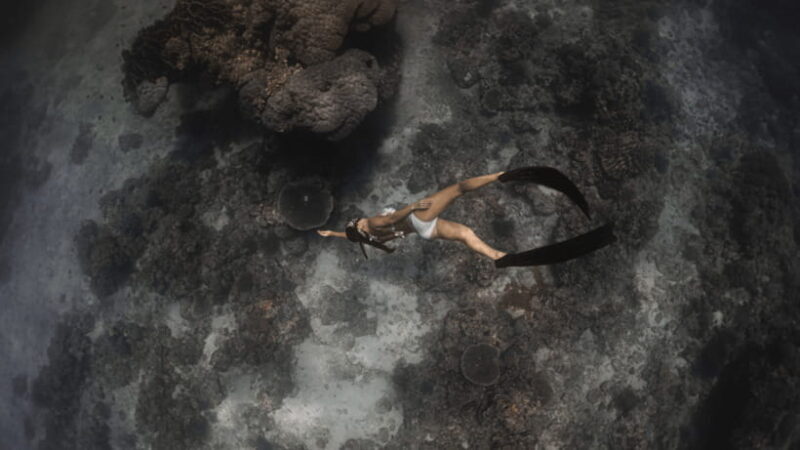 Discover Freediving in Boracay - An In-Depth Look at Discover Freediving in Boracay