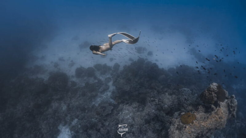 Discover Freediving in Boracay - Why This Tour Is a Great Fit for Your Boracay Visit