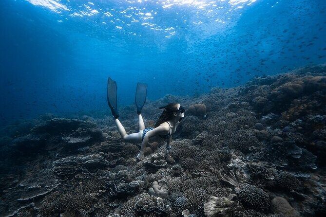 Discover Freediving One Amazing Day - An Introduction to Freediving on Panglao