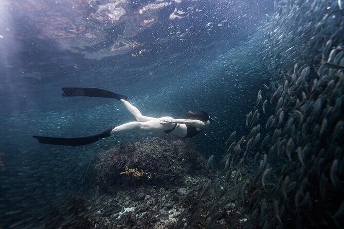 Discover Freediving One Amazing Day - Authentic Experiences and Honest Feedback