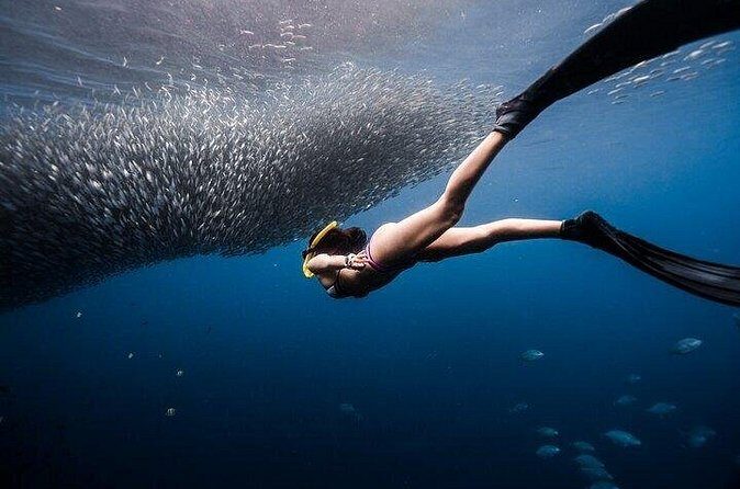 Discover Freediving One Amazing Day - FAQ