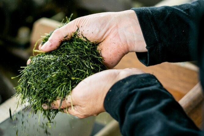Discover Fukuoka's Sake Tasting and Tea Class - Traditional Arts: Ikebana or Bonsai
