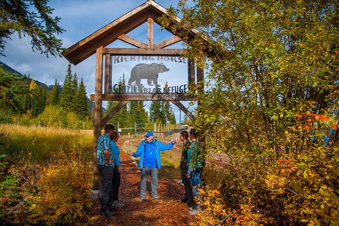 Discover Grizzly Bears from Banff - The Experience of Discovering Grizzly Bears from Banff