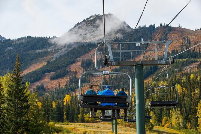 Discover Grizzly Bears from Banff - The Sum Up