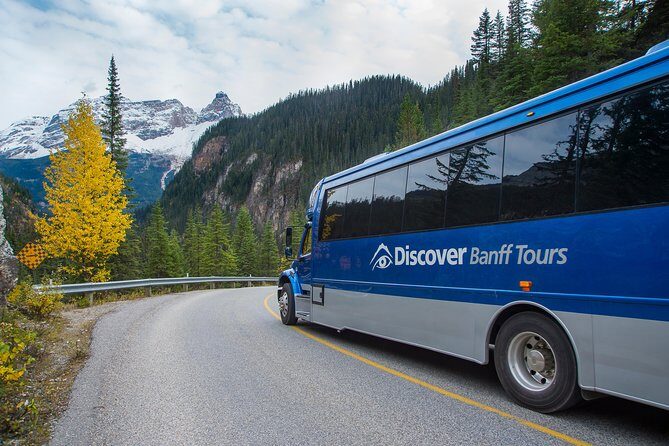 Discover Grizzly Bears from Banff - FAQs