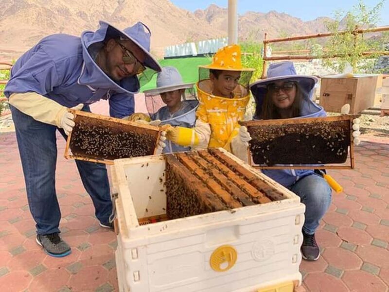 Discover Hatta Hidden Gem Private Tour with Kayaking & Honey - What We Love About This Tour
