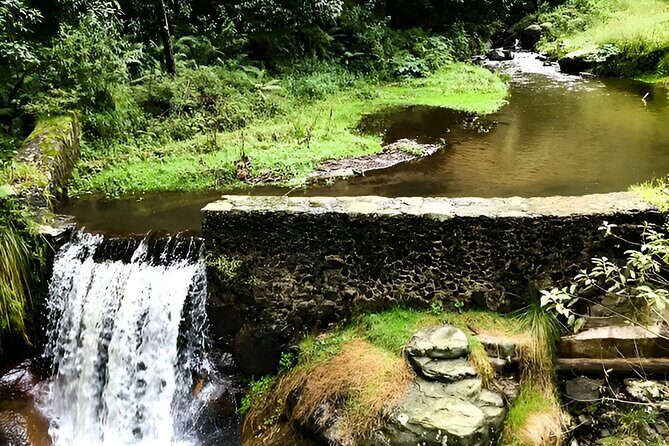 Discover Hiking Trails and a Convent in Desierto de los Leones - What Makes the Guided Hike Special?
