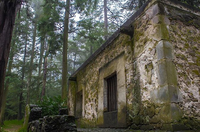 Discover Hiking Trails and a Convent in Desierto de los Leones - The Pulque Tasting and Local Flavors