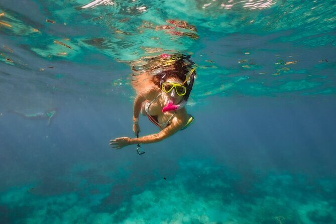 Discover Isla Contoy & Isla Mujeres with Transfer from Cancun & Riviera Maya - Who Will Appreciate This Tour?
