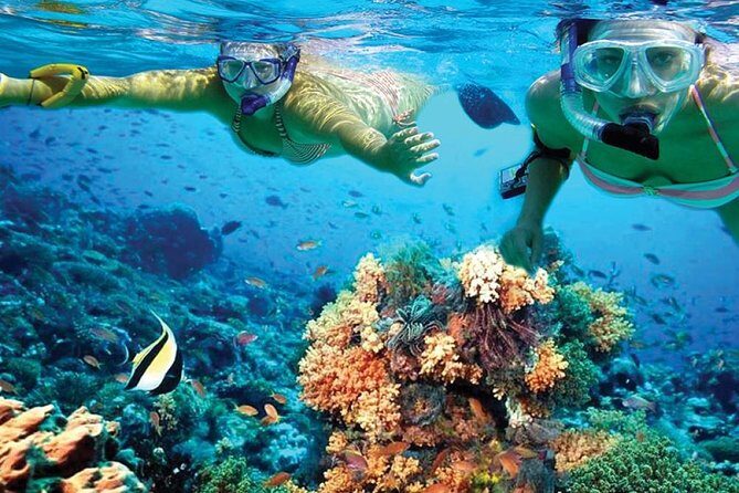 Discover Isla Mujeres in Catamaran. Buffet, Open Bar and Snorkel - An In-Depth Look at the Tour Experience
