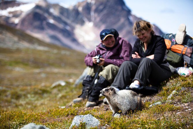 Discover Jasper and its Wildlife - Frequently Asked Questions