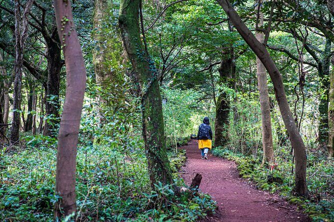 Discover Jeju in 3days: A Curated All-Inclusive Experience - The Itinerary in Detail: What Youll Experience