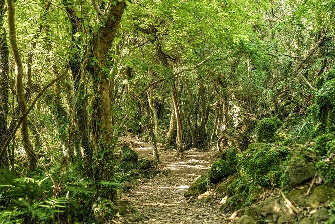 Discover Jeju in 3days: A Curated All-Inclusive Experience - FAQs