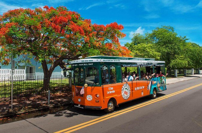 Discover Key West in a Day : Sun, Sea and Paradise - Who Would Love This Tour?