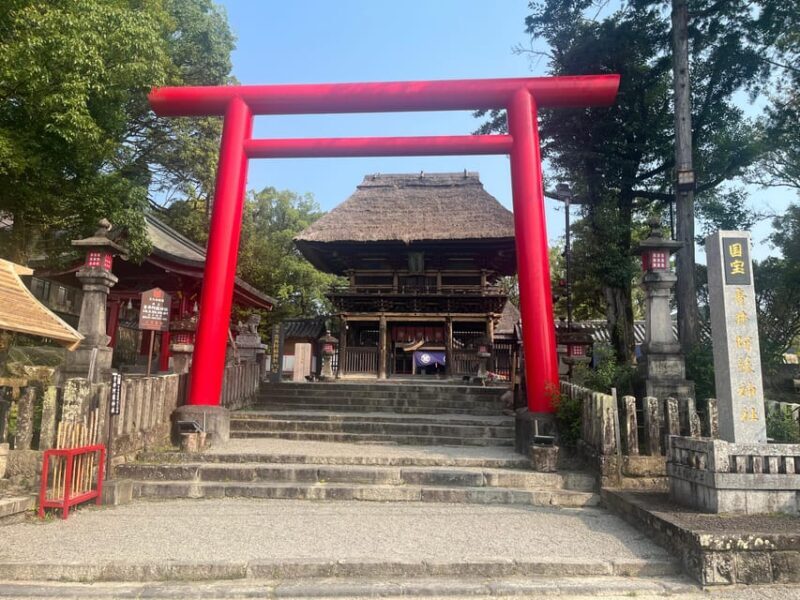 Discover Kumamoto's Hidden Gem: Kumamoto Awaits You - Key Points