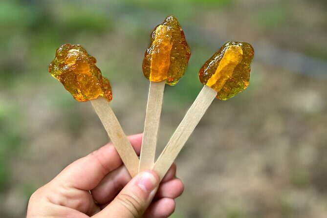 Discover Maple Sugar Bush Tour - An In-Depth Look at the Experience