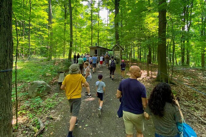 Discover Maple Sugar Bush Tour - Who Will Love This Tour?