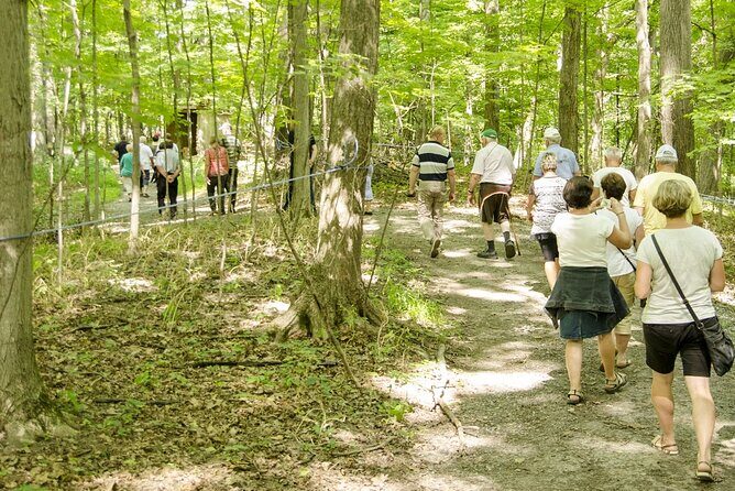 Discover Maple Sugar Bush Tour - FAQ