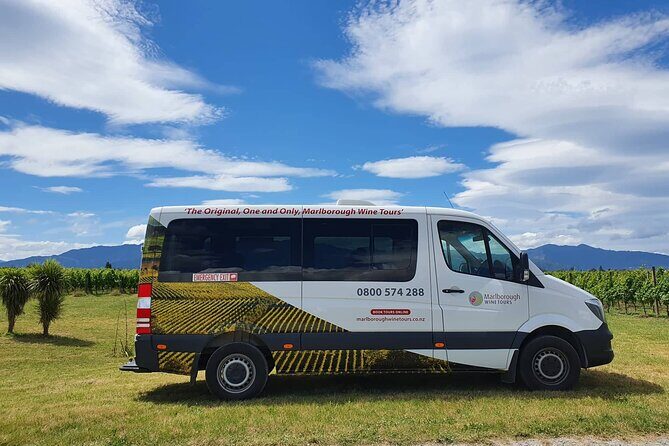 Discover Marlborough Wine - Afternoon Marlborough Wine Tour - An In-Depth Look at the Tour Experience