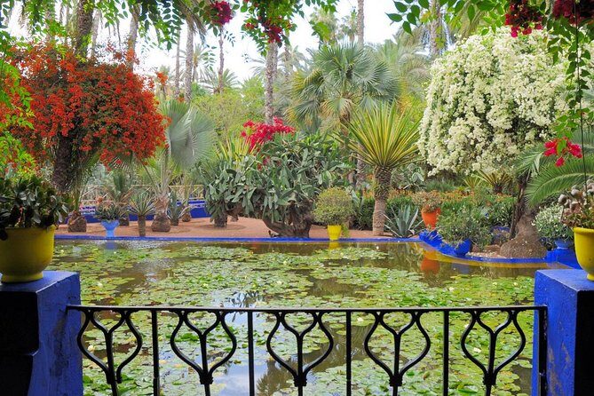 Discover Marrakech Sitting On Tok Tok - Who Will Love This Tour?