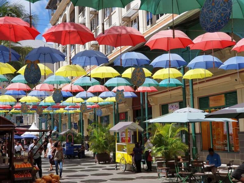 Discover Mauritius Full Day with Your Personal Driver-Guide - Why Choose a Private Driver-Guide in Mauritius?