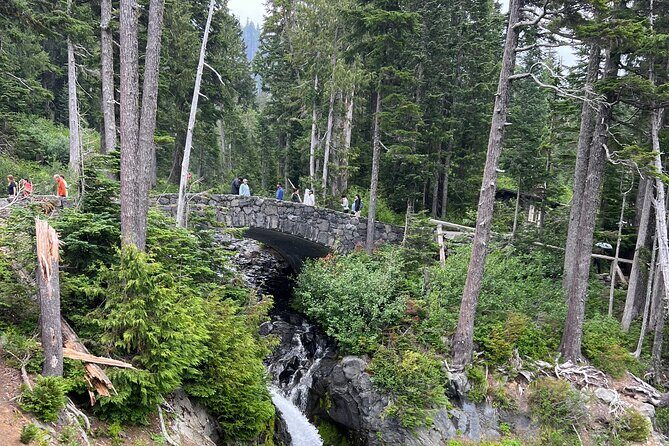 Discover Mt. Rainier Private Full-Day Tour - The Sum Up