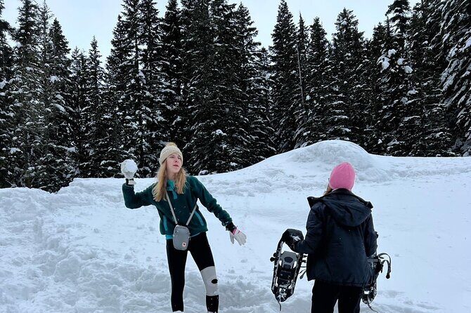 Discover Mt. Rainier Private Full-Day Tour - FAQ