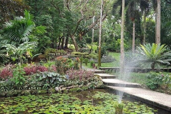 Discover Mud pool/Hot -Spring Nadi - FAQ