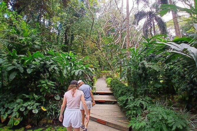 Discover Nadi with Sabeto Hotspring and Mudpool Tour - Final Thoughts