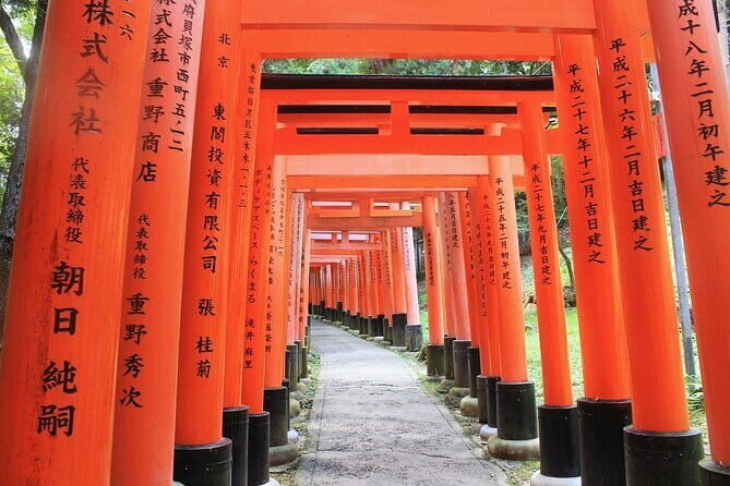Discover Nara Park, Kyoto Highlights and Fushimi Inari from Osaka - The Sum Up