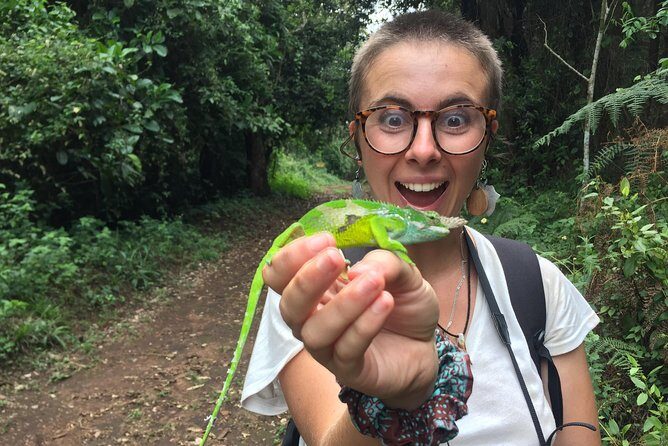 Discover Nature and Culture of Materuni Waterfall & Coffee Tour - A Closer Look at the Experience