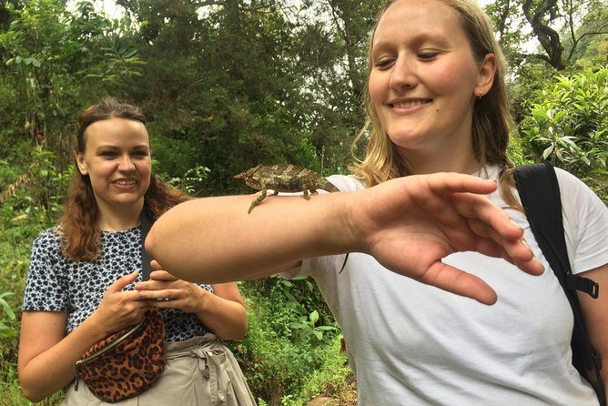 Discover Nature and Culture of Materuni Waterfall & Coffee Tour - Authenticity and Reviews