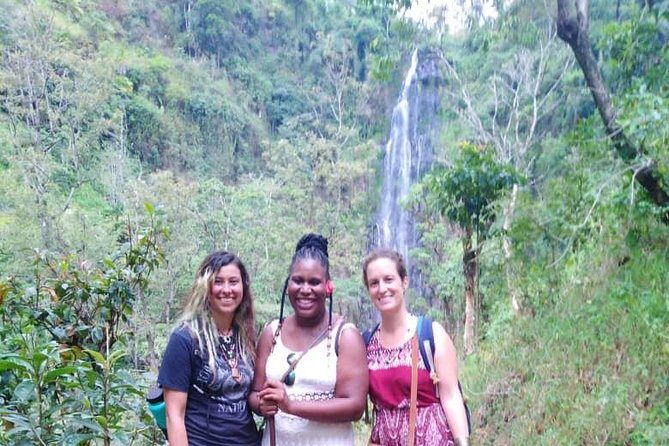 Discover Nature and Culture of Materuni Waterfall & Coffee Tour - The Sum Up: Is It Worth It?
