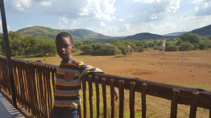 Discover Nature on a Guided Safari 3hr - The Practical Side: Logistics, Cost, and Comfort