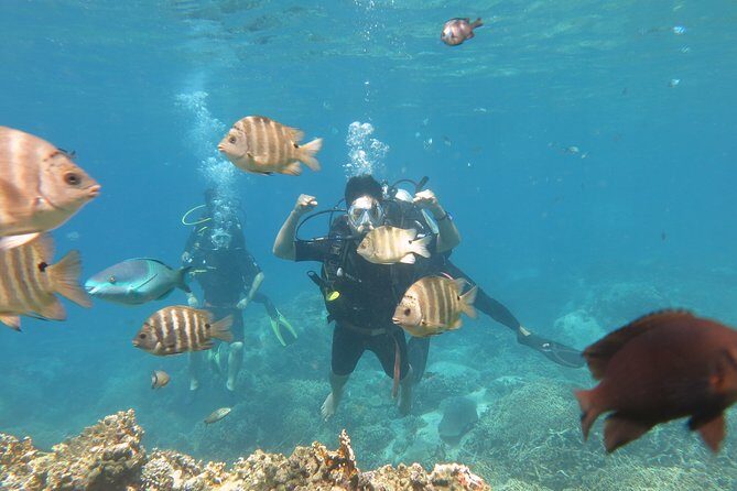 Discover Nha Trang Bay with Scuba Diving Tour - The Sum Up: Who Should Consider This Tour?