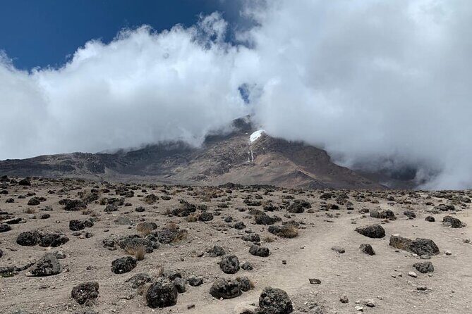 Discover Our Latest 6 Days Climbing Kilimanjaro - Marangu Route - FAQ