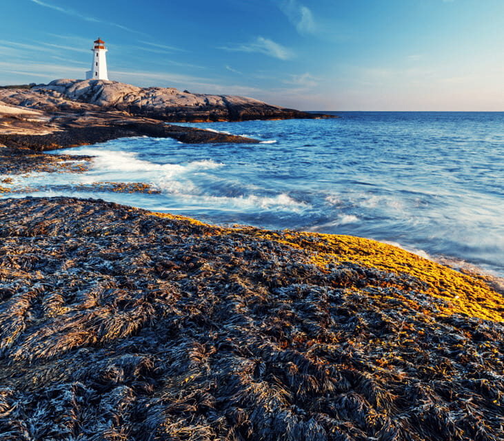 Discover Peggy's Cove: Private Journey from Halifax - Insights from Travelers
