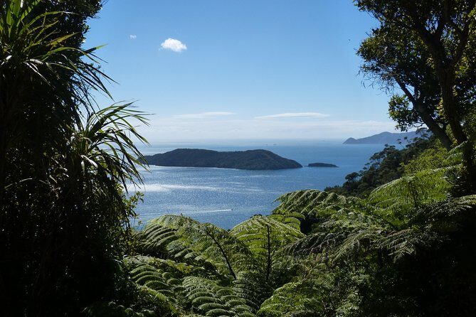 Discover Picton: Self-Guided Audio Tour - Authentic Experiences and User Perspectives