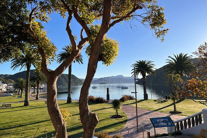 Discover Picton: Self-Guided Audio Tour - Final Thoughts: Is It Worth Your Time?